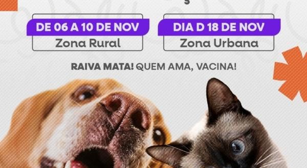 Campanha de vacinação contra raiva para cães e gatos de Floriano terá início na segunda-feira, dia 6