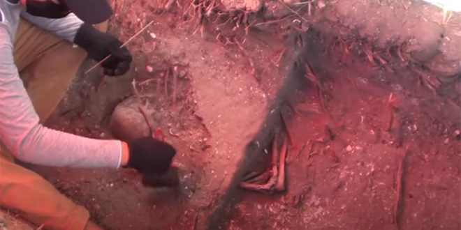 45 esqueletos e mais de 100 mil peças arqueológicas são encontrados em obra no Maranhão