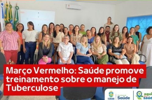 Profissionais da Saúde em Floriano participam de encontro estratégico para combate à tuberculose