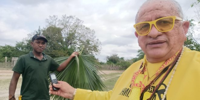 Giro do Amarelinho 04-01-2026